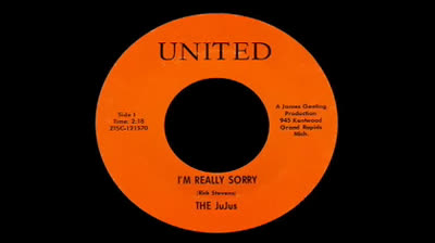 JuJus (1966) - I'm Really Sorry