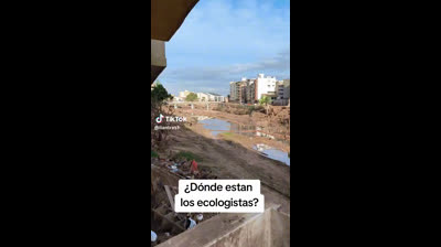 Los ecologistas se mueven por dinero en valencia solo hay lodo..Pero cuando acepten los presupuestos se mataran por coger su parte.