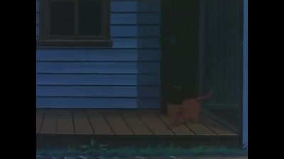 Tom Story - Ep 33 - Fuga verso la libertà