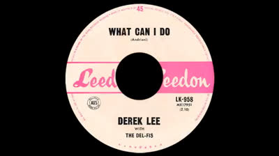 What Can I Do (1965) - Derek Lee with The Del Fi's