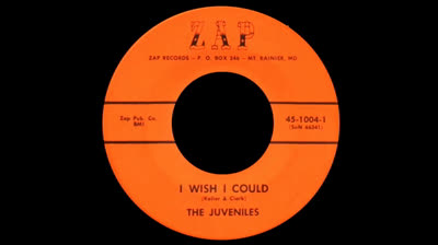 I Wish I Could (1966) - Juveniles