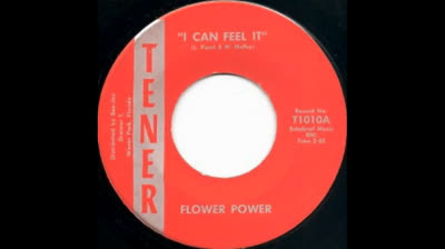Flower Power (1967) - I Can Feel It