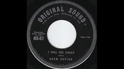 Adam Saylor (1966) - I Will Go Away
