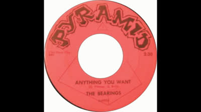 Bearings (1966) - Anything You Want
