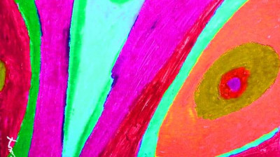 Temporel strié clakos sensei Lades Neffous