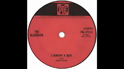 Bluechips (1966) - I Know A Boy