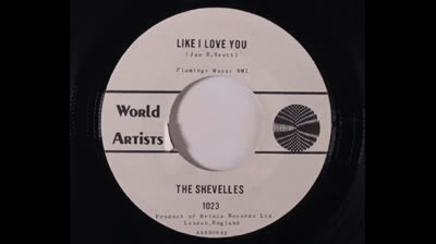 Shevelles (1964) - Like I Love You