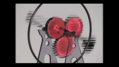 Baby Einstein Baby Mozart Music Festival 2004 DVD