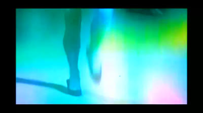 Wailers (1965) - Out of our tree