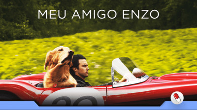 Meu Amigo Enzo
