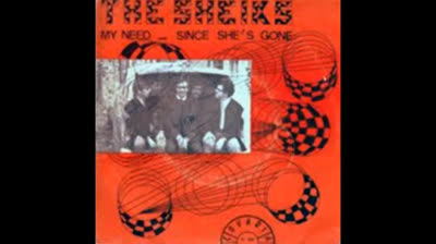 Sheiks (1966) - Since She's Gone