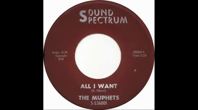 Muphets (1964) - All I Want
