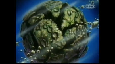 03 Shin Hakkenden - Una dura lezione