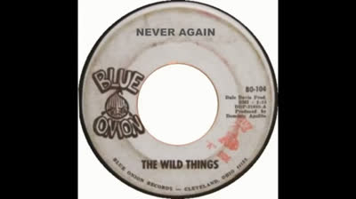 Wild Things (1968) - Never Again