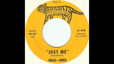Wild-Ones (1965) - Just Me