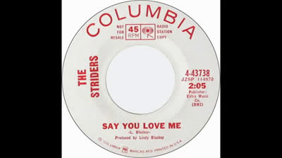 Striders (1966) - Say You Love Me