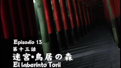 NURARIHYON NO MAG 13