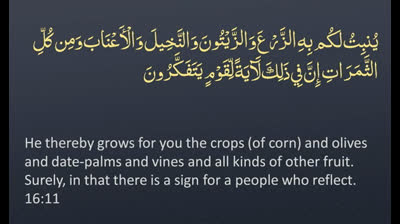 Surah 16 - An-Nahl_ ? ENGLISH ONLY Recitation with Arabic Subtitles. Night Mode (Dark Background)