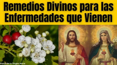 ¡Jesús y María Revelan los Remedios para las Enfermedades del Final de los Tiempos!