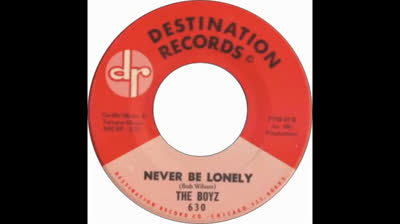 Boyz (1966) - Never Be Lonely
