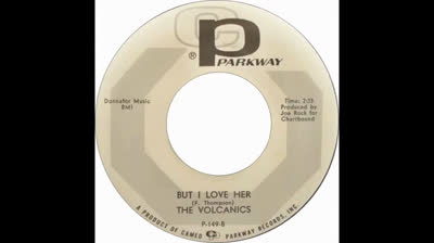 Volcanics (1967) - But I Love Her