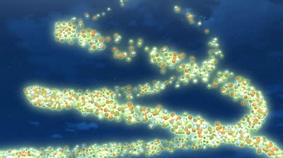 Bakugan Battle Planet Ep 12 - Padres y amigos  Pesadilla estival