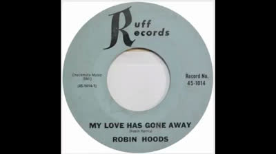 Robin Hoods (1966) - My Love Has Gone Away