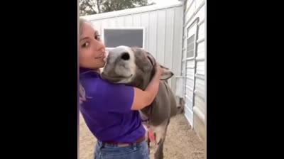 Joyeux Noël à tous