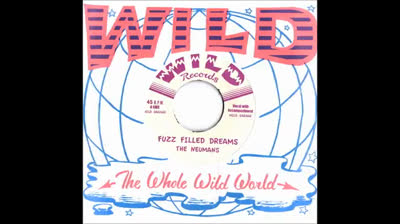 Neumans (2012) - Fuzz Filled Dreams