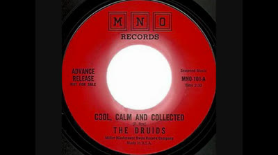 Druids (1966) - Sorry's Not Enough