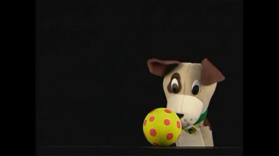 Baby Newton 2004 DVD